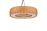 Fan Lamp Plastic+Rattan BL14 LED 55W 3000~6500K(TEKLED)