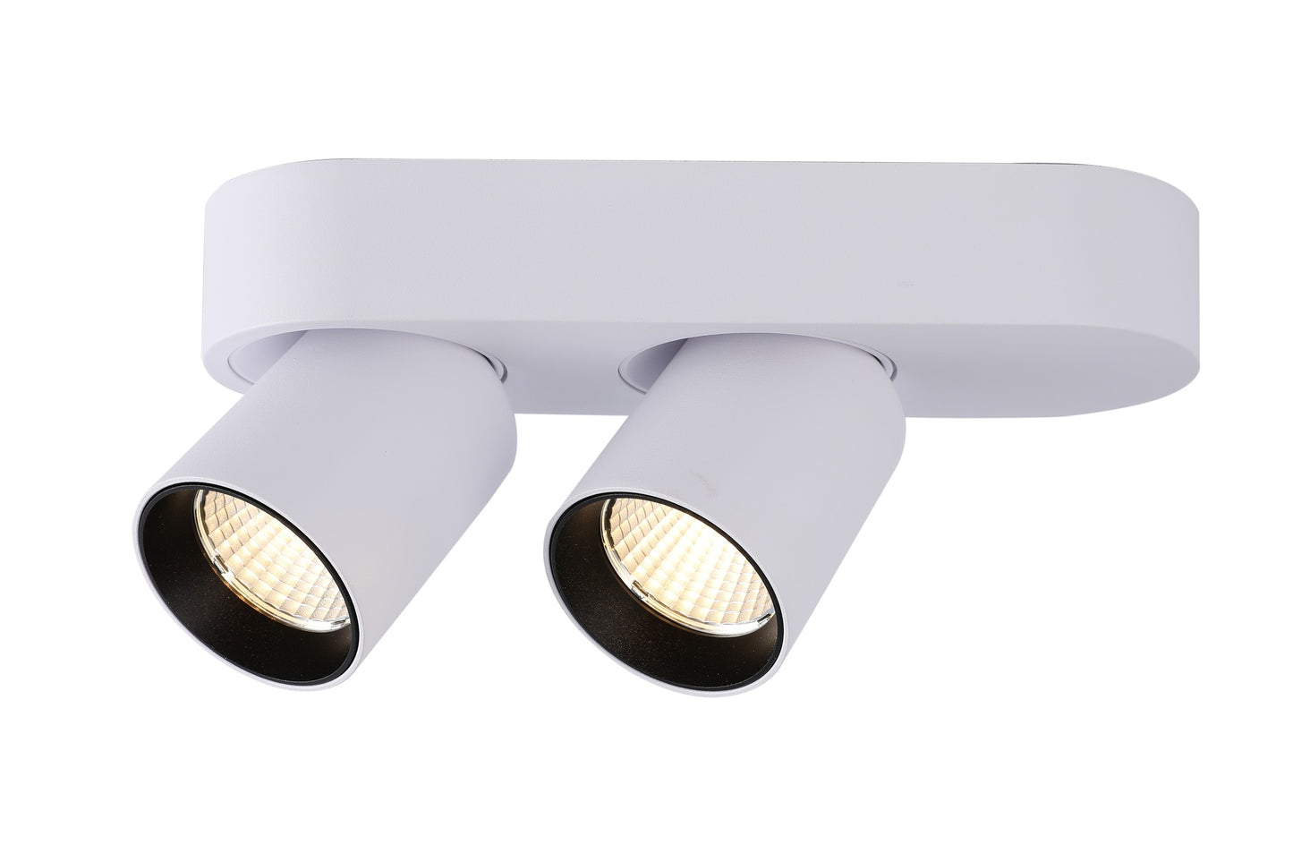 LED DOWNLIGHT FS11 WHITE 2X7W 3CCT (TEKLED)