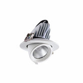 LED SWIVEL & SCOOP DOWNLIGHT 30W COOL WHITE