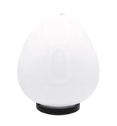 GLOBE LIGHT D250 OPAL DROP 270x235x235 (TT-KZ)