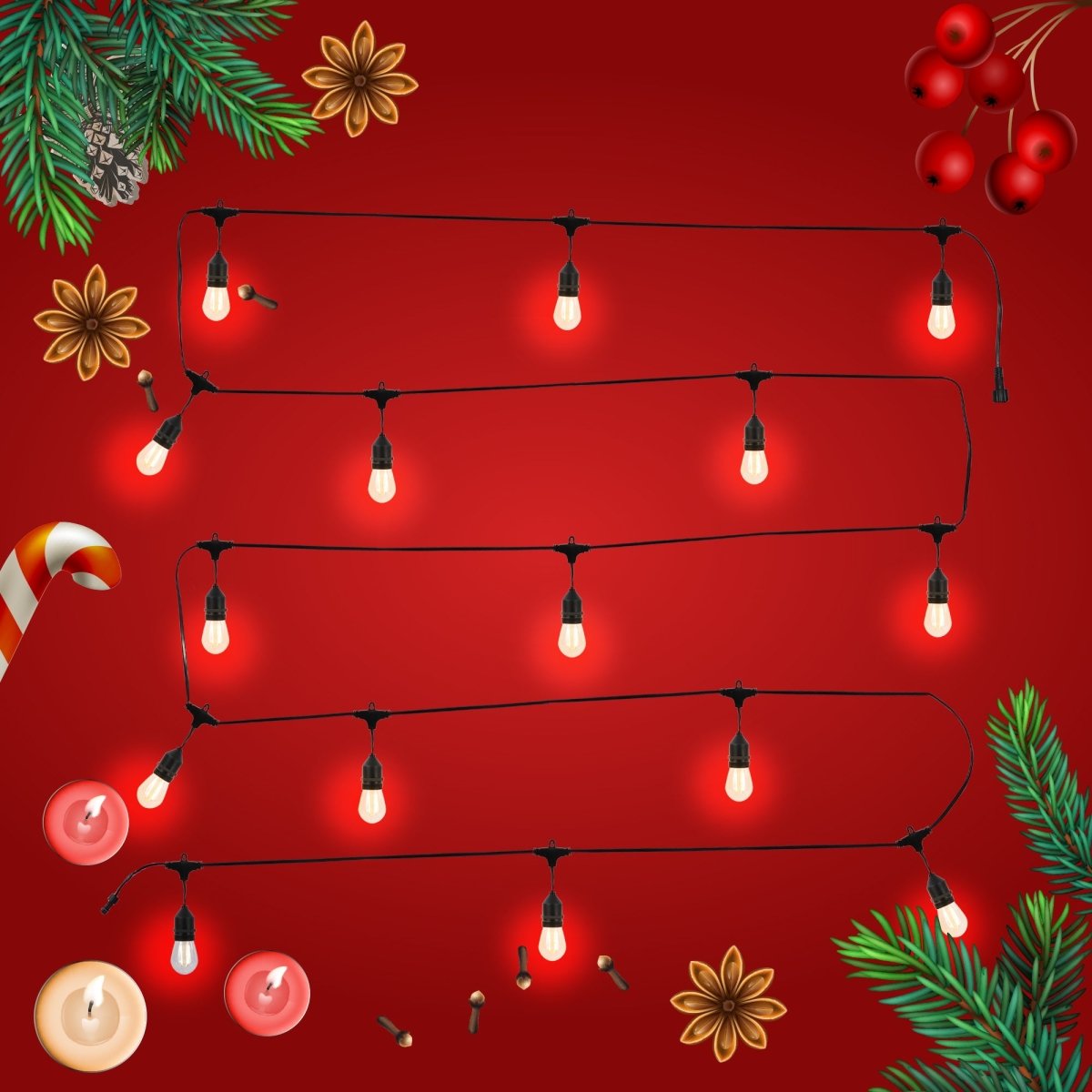 genral view of pollux festoon light set 15 bulbs