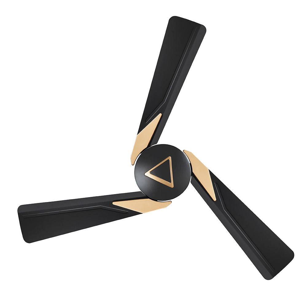 FAN VALBONA BLACK