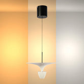 Main image of Fountain Pendat Light brown CCT Changeble D300 8W 159-18115