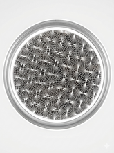 LED Ceiling Light P202 Silvery D500 3CCT 30WX2(TEKLED)