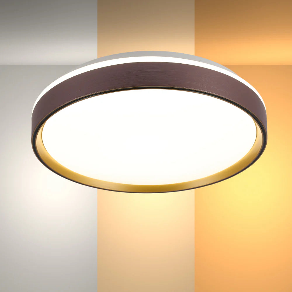 Modern Halo Effect LED Ceiling Light with Colour Contrast Design
