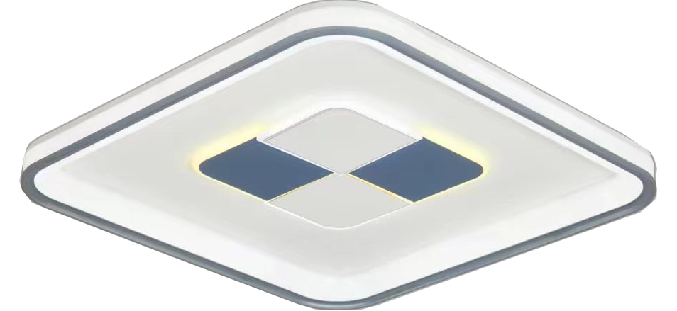 Plastic Ceiling Lights