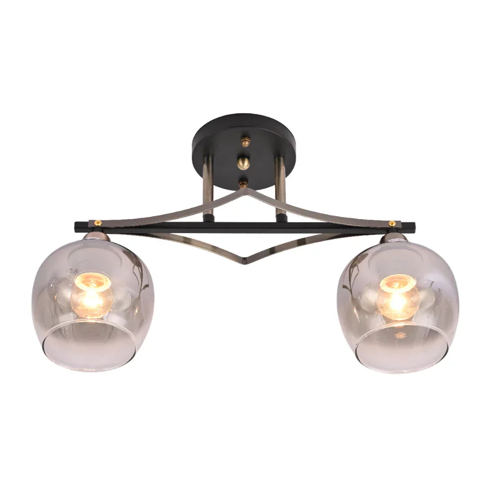 2 Light Ceiling Lights