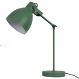 Adjustable Armature Desk Lamp