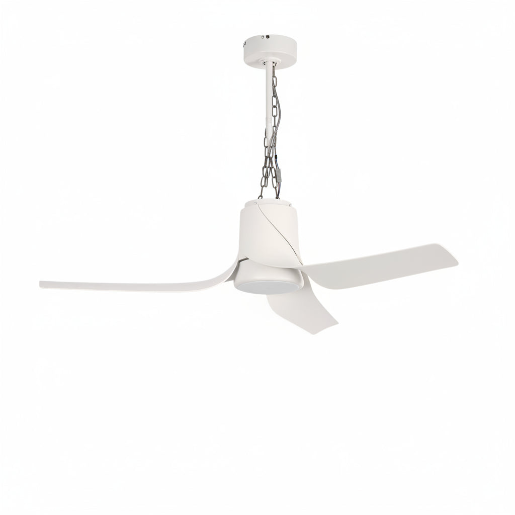 Fan Lamp BL LED 30W 3000~6500K (TEKLED)