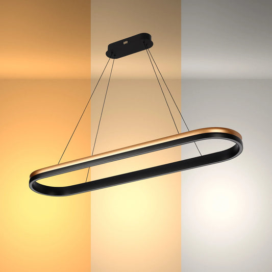 Black and Gold Modern LED Pendant Light - Single, Double, Triple Tier and Oblong