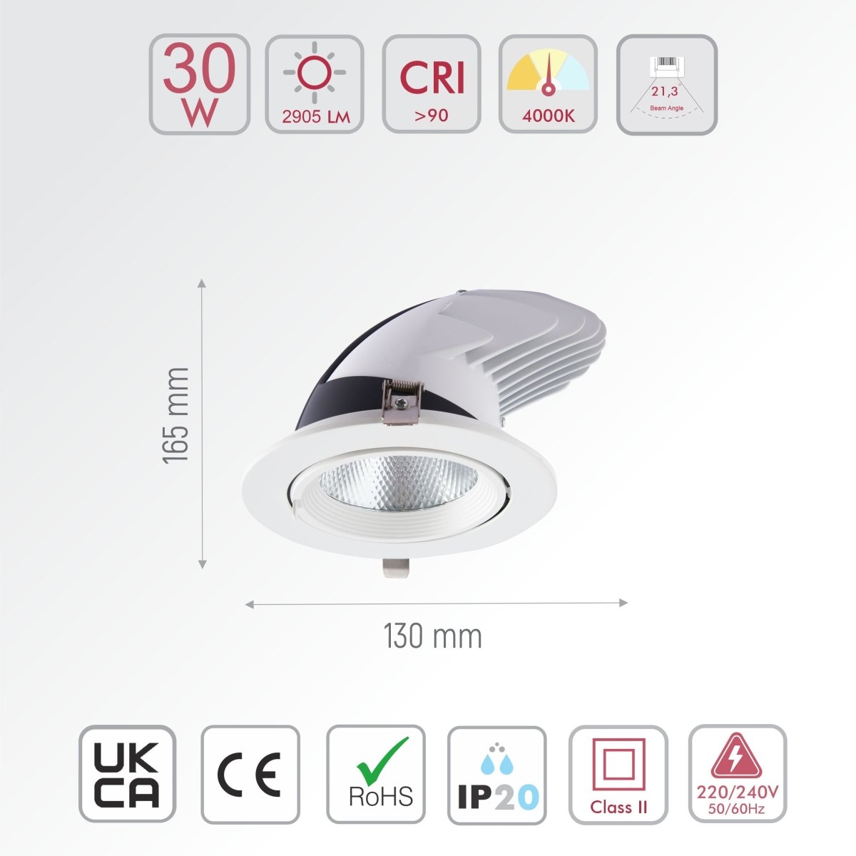 LED SWIVEL & SCOOP DOWNLIGHT 30W COOL WHITE