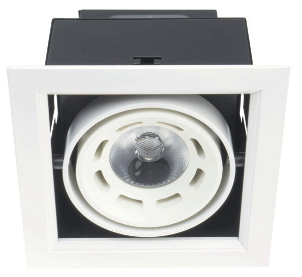 DOWNLIGHT LED DD119 8W WHITE 5000K (TS)