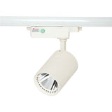 LED LS-003-100 30W WHITE (TS)