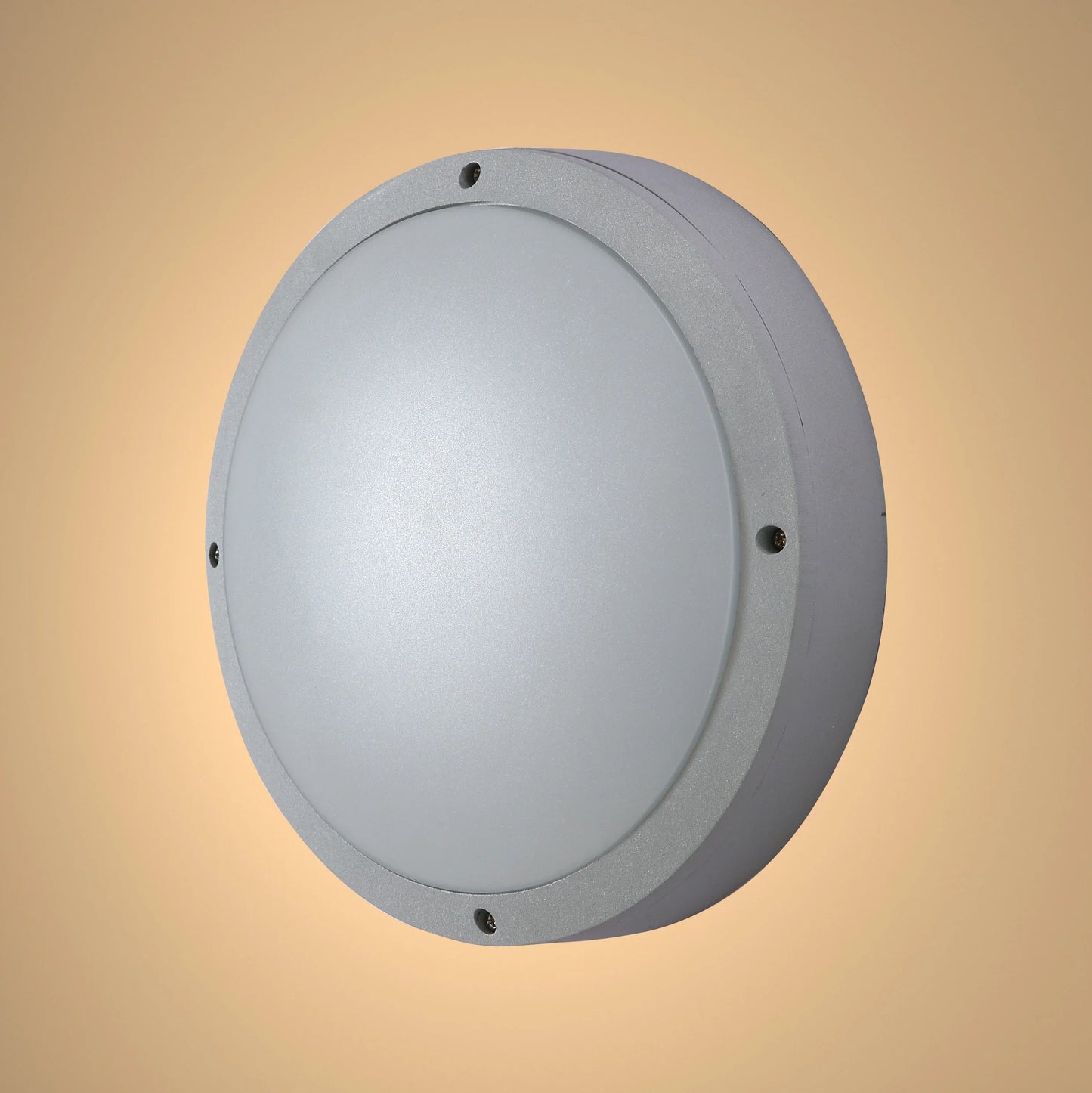 Fool Moon Eyelid LED Diecast Aluminium Round Wall Lamp 20W Cool White 4000K IP54 Grey 275mm