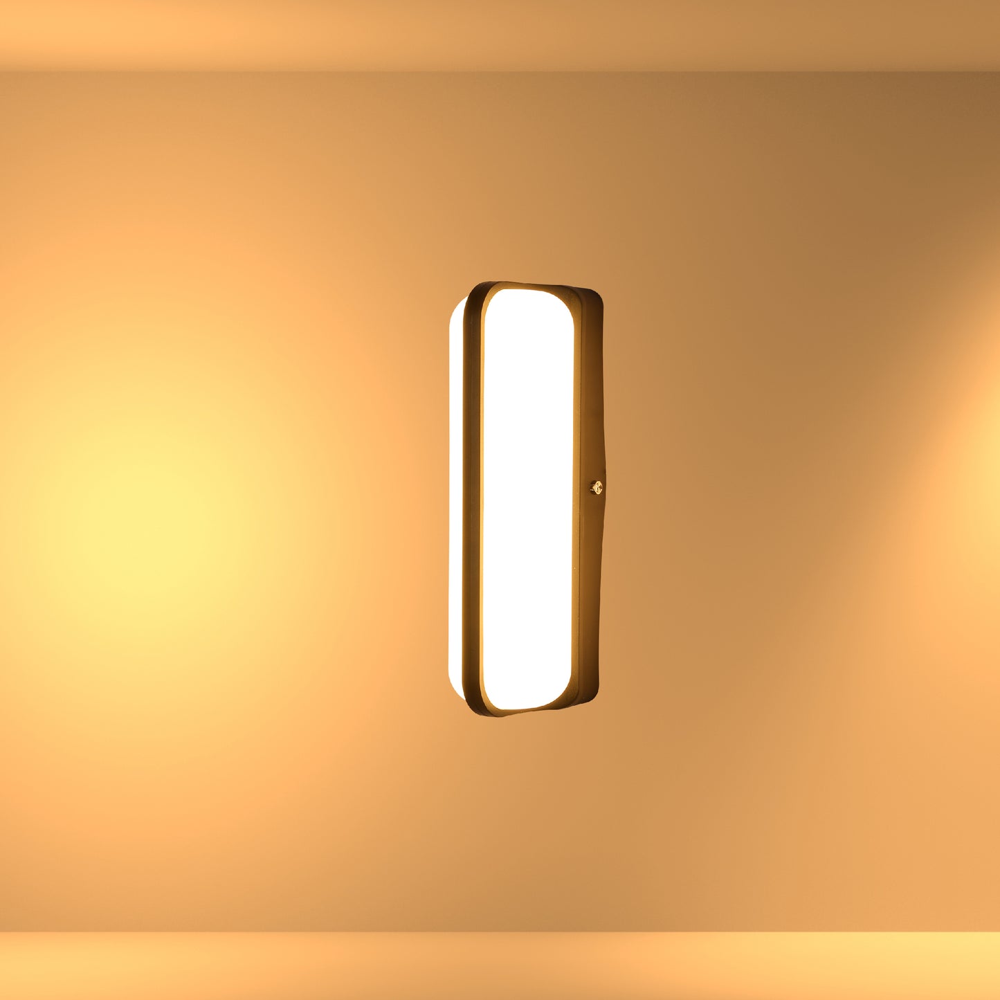 LED Plastic Black Modern Outdoor Wall Light
