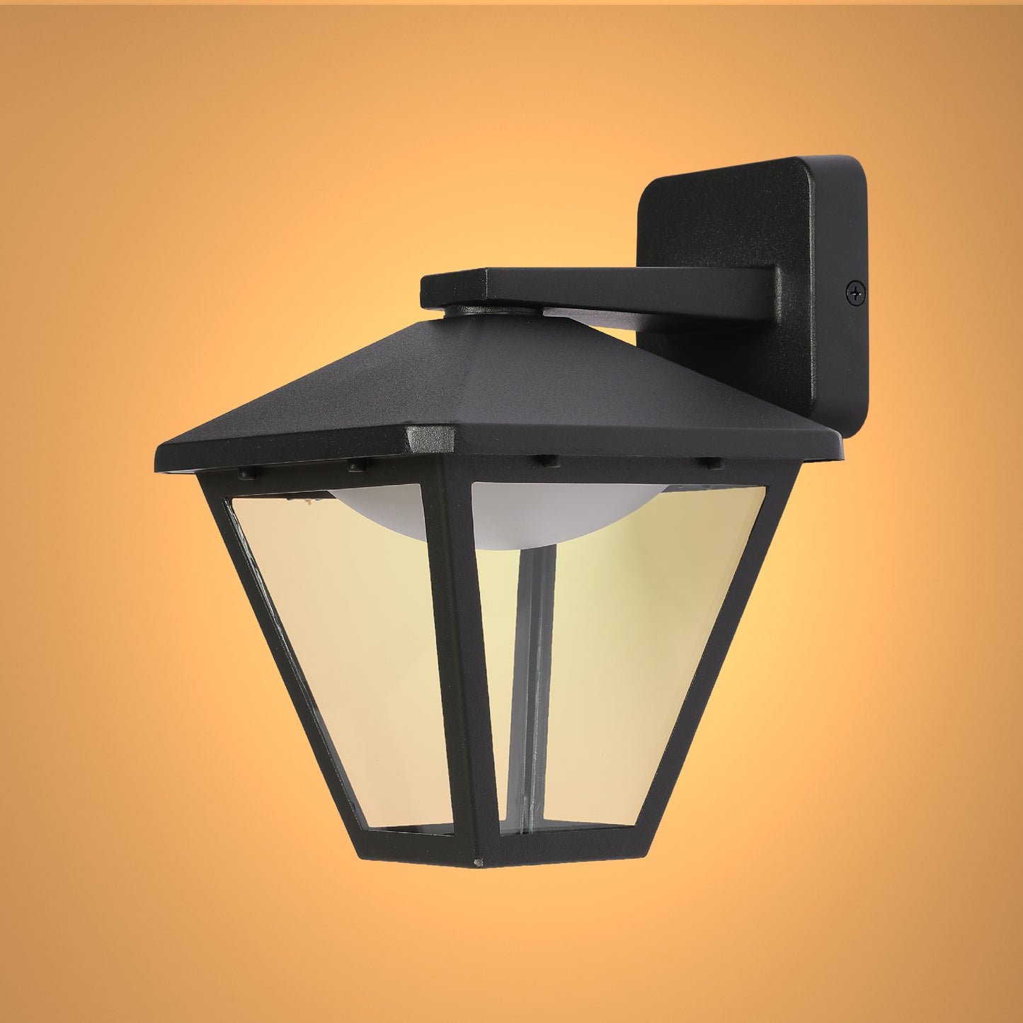 LED Outdoor Wall Light A0302 6W Black