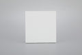 1 GANG 2 WAY PLATE SWITCH S60-002 BABY FACE (TEKLED ELECTRIC)