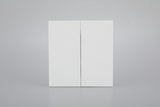 2 GANG 2 WAY PLATE SWITCH S60-004 BABY FACE (TEKLED ELECTRIC)