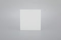 BLANK PLATE S60-042 BABY FACE (TEKLED ELECTRIC)