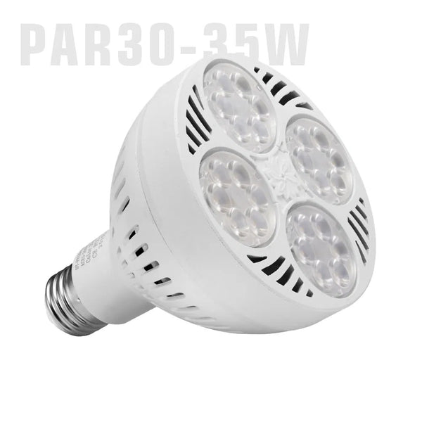 LED Bulbs