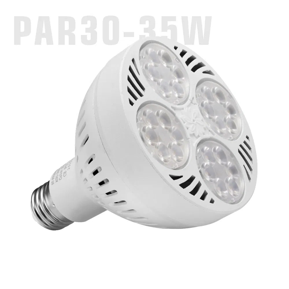 LED PAR 30 COM 35W