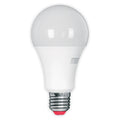 BULB  A70 15W 1500LM E27 (TEKLED)