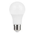 BULB LED A80 20W 1800LM E27 100-265V (TL)