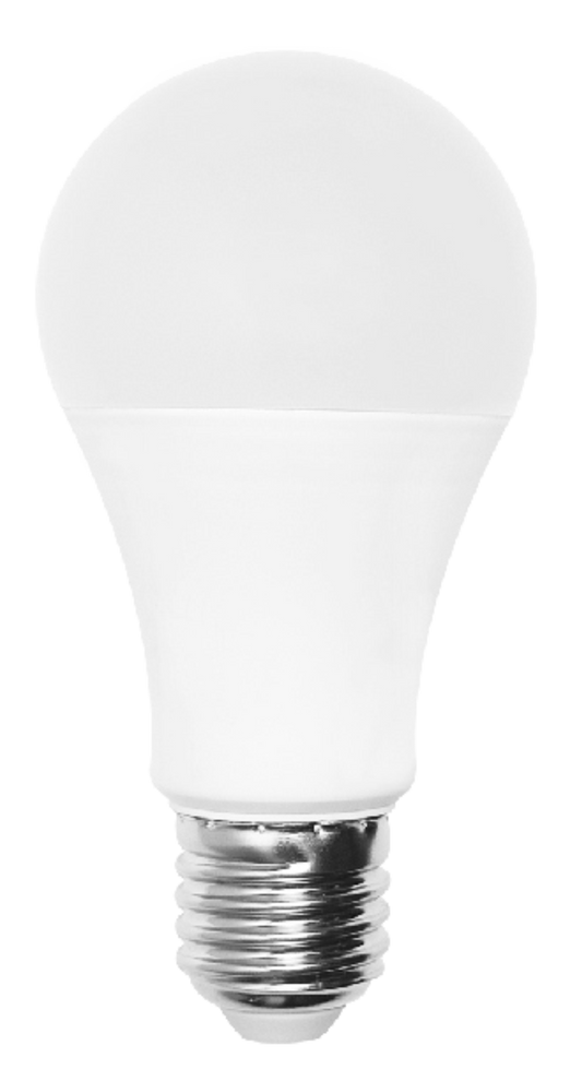 BULB LED A65 15W 1500LM E27 (TEKLED)