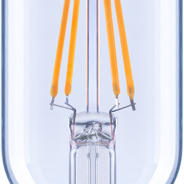 LED Filament Bulbs