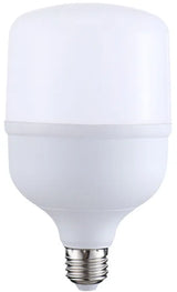 BULB LED T100 25W 2000LM E27 (TL)