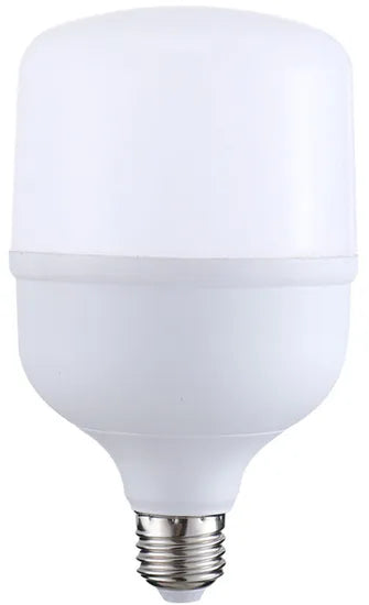 BULB LED T100 25W 2000LM E27 (TL)