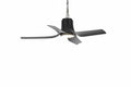Fan Lamp BL LED 30W 3000~6500K (TEKLED)