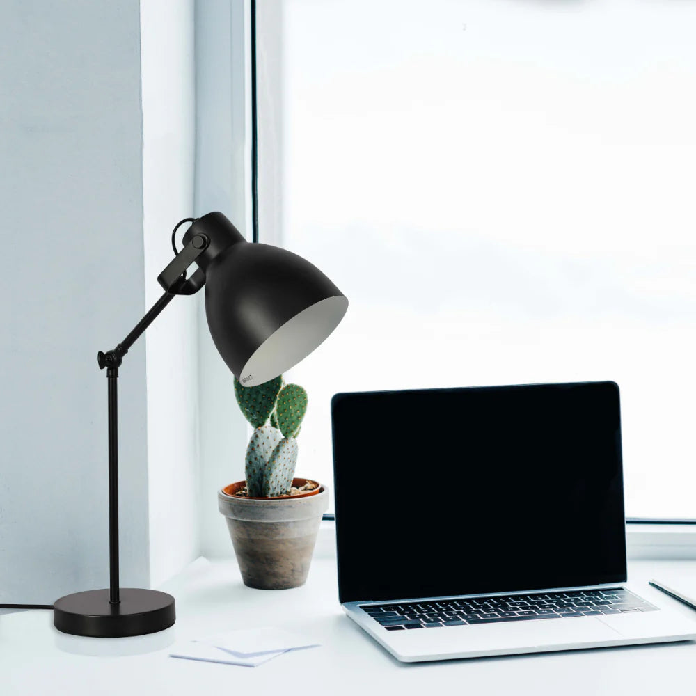 Adjustable Armature Desk Lamp 6