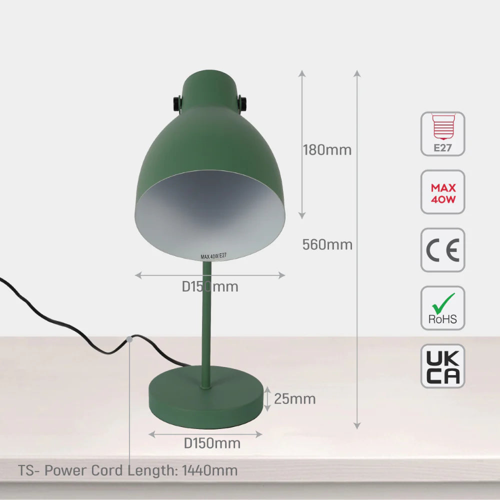 Adjustable Armature Desk Lamp