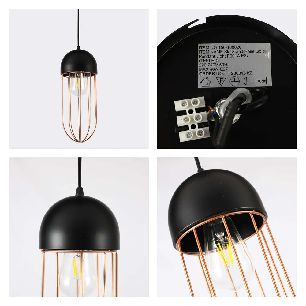 Details of the Aurelia Black & Gold Cage Pendant Light-150-180820