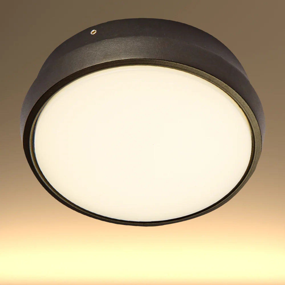 Black Ring Moonlight Outdoor Modern LED Wall Light