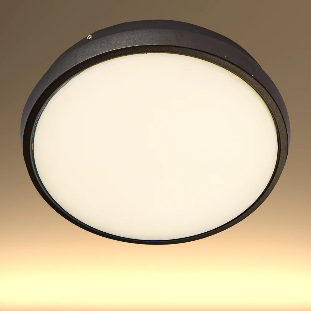 Black Ring Moonlight Outdoor Modern LED Wall Light