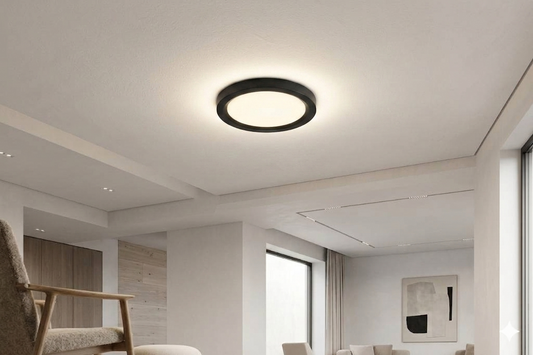 LED Downlight TK02 Black 50W 3CCT (HAIGER)