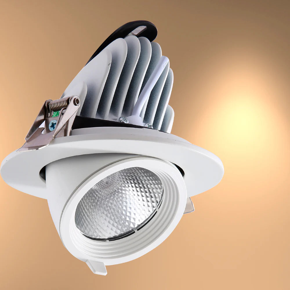 LED Accent Performance Swivel and Scoop Tilt Recessed Downlight CRI90 White