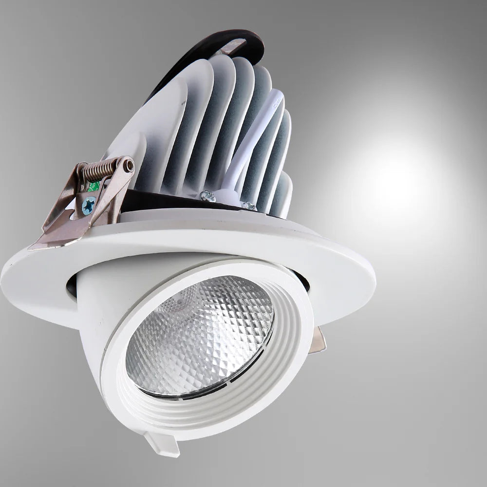 LED Accent Performance Swivel and Scoop Tilt Recessed Downlight CRI90 White