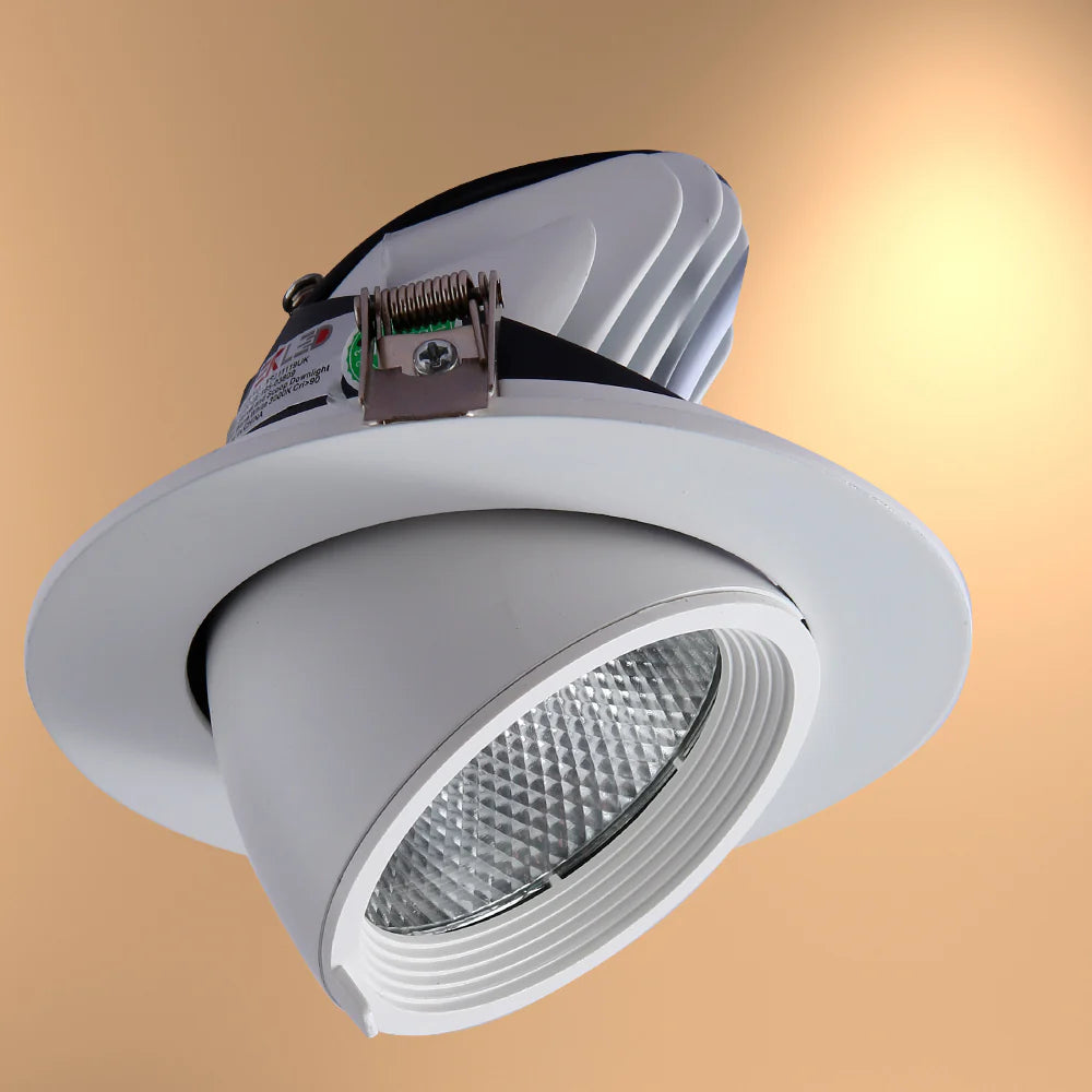 LED Accent Performance Swivel and Scoop Tilt Recessed Downlight CRI90 White