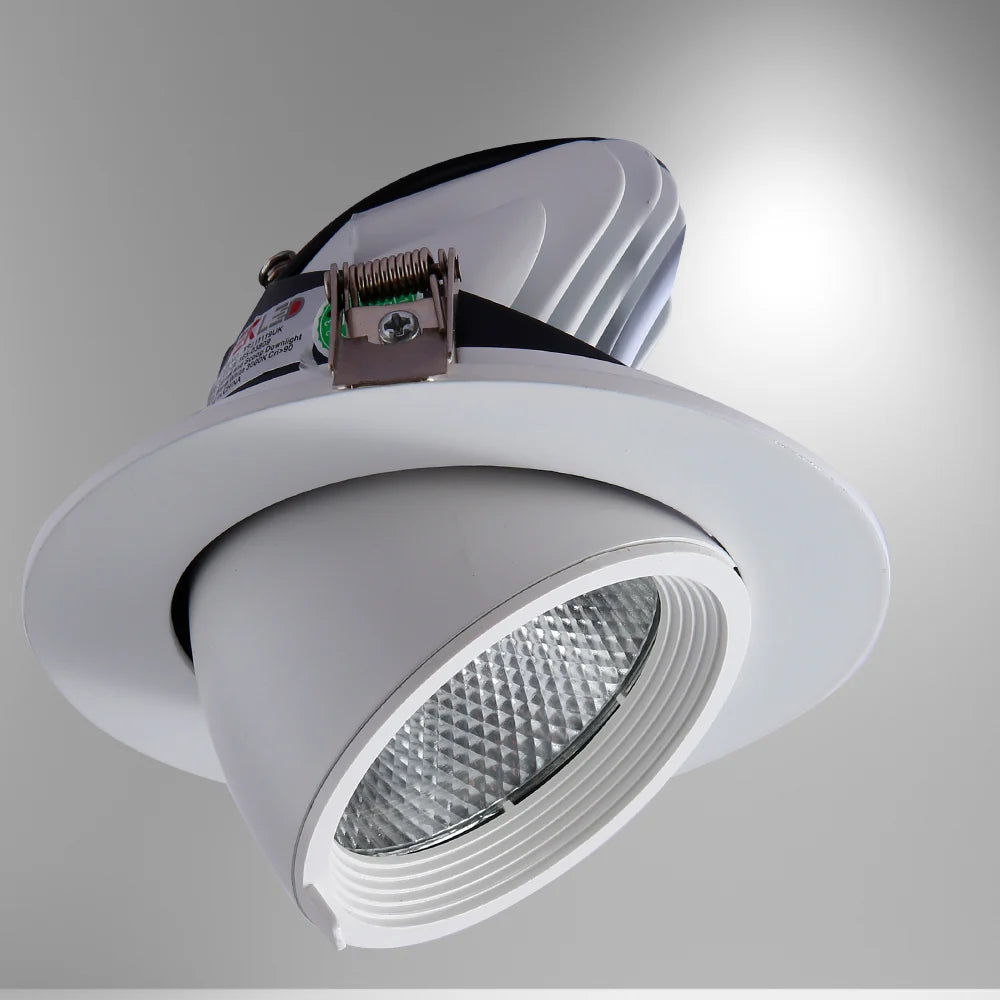 LED Accent Performance Swivel and Scoop Tilt Recessed Downlight CRI90 White