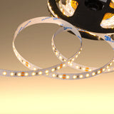 LED Strip Light 120pcs 2835 LED 5W 1A 24Vdc 10mm 5m IP20