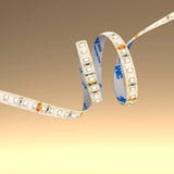 LED Strip Light 120pcs 2835 LED 5W 1A 24Vdc 10mm 5m IP65 Waterproof