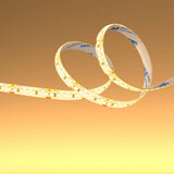 LED Strip Light 180pcs 2835 LED 10W 2A 24Vdc 10mm 5m IP65 Waterproof