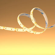 LED Strip Light 180pcs 2835 LED 10W 2A 24Vdc 10mm 5m IP65 Waterproof