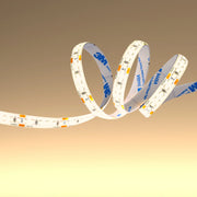 LED Strip Light 180pcs 2835 LED 10W 2A 24Vdc 10mm 5m IP65 Waterproof