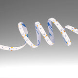 LED Strip Light 180pcs 2835 LED 10W 2A 24Vdc 10mm 5m IP65 Waterproof