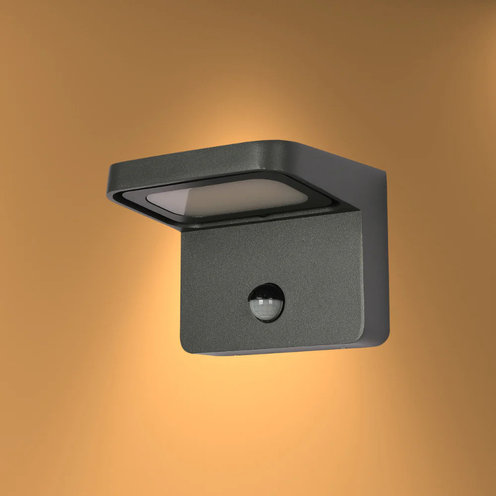 Luminosa LED Outdoor Wall Light 13W