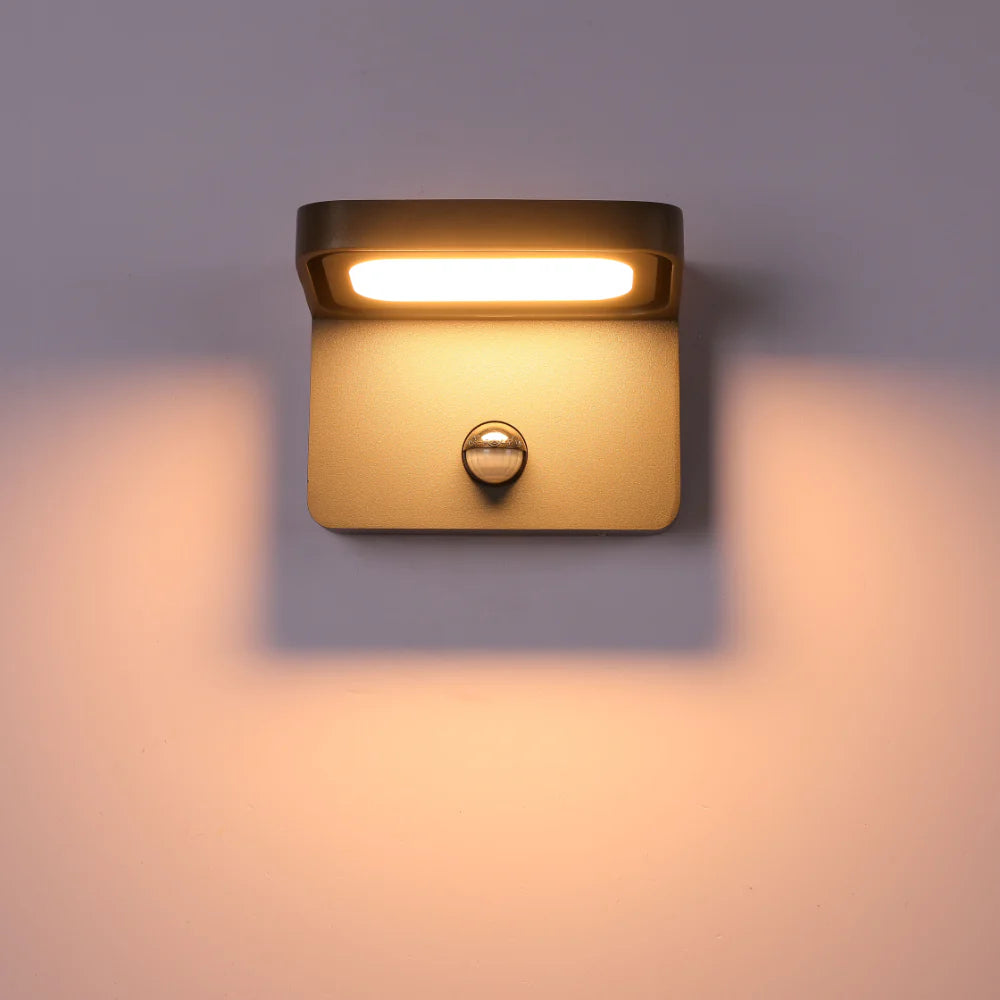 Luminosa LED Outdoor Wall Light 13W